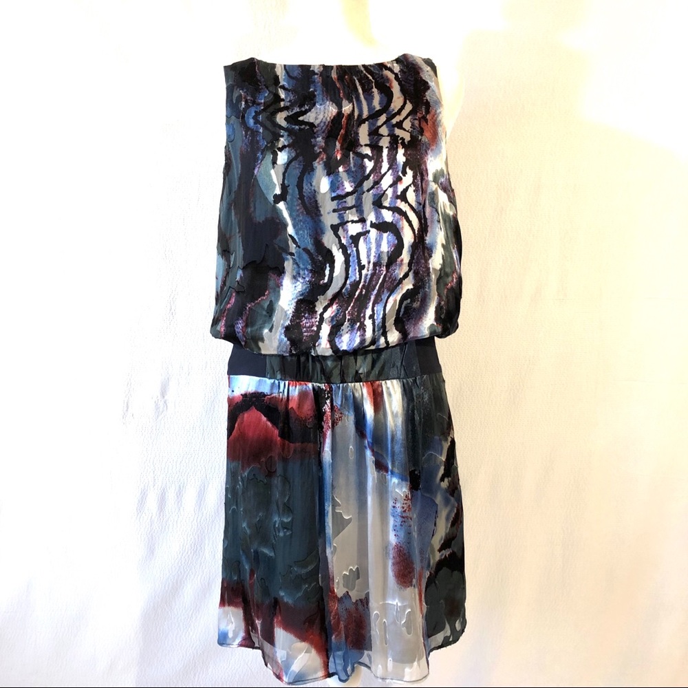 Julie Dillon Silk Drop Waist Abstract Print Dress